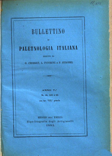 Bullettino di paletnologia italiana