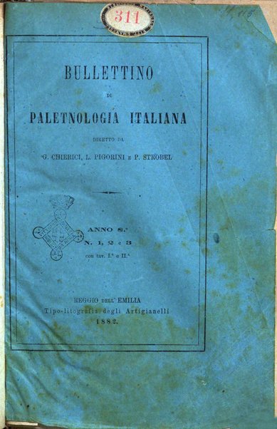 Bullettino di paletnologia italiana