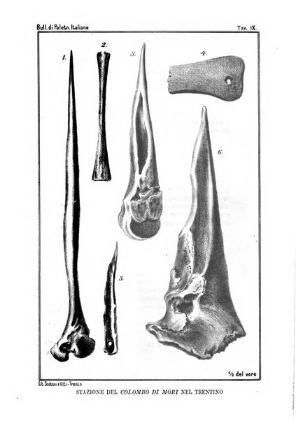 Bullettino di paletnologia italiana