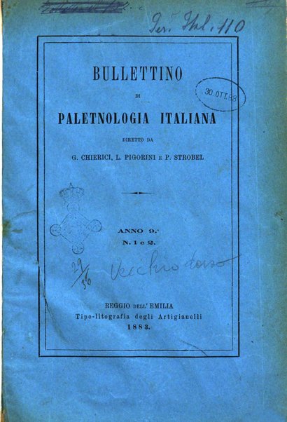 Bullettino di paletnologia italiana