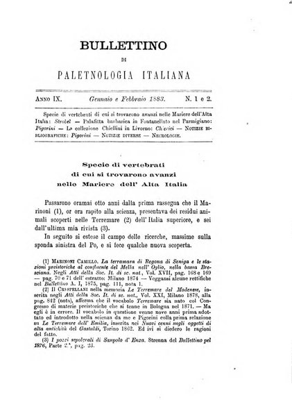 Bullettino di paletnologia italiana