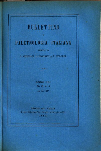 Bullettino di paletnologia italiana