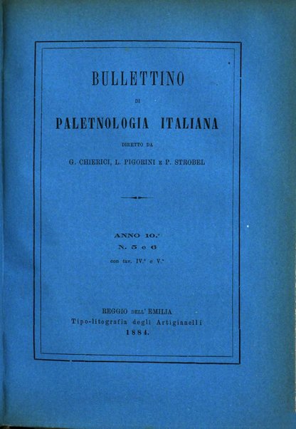 Bullettino di paletnologia italiana