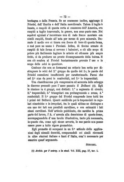 Bullettino di paletnologia italiana