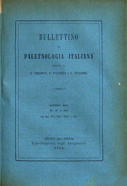 Bullettino di paletnologia italiana