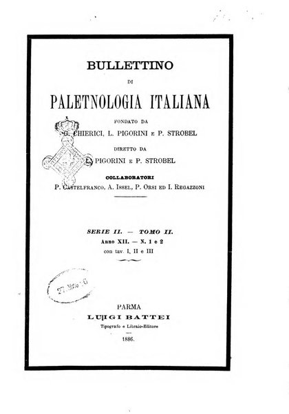 Bullettino di paletnologia italiana