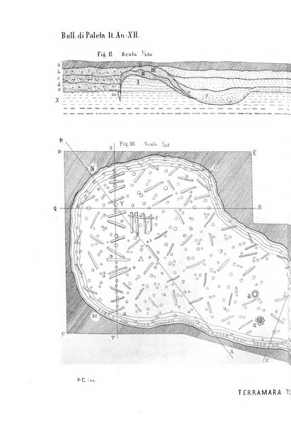 Bullettino di paletnologia italiana