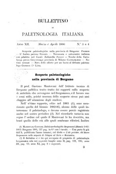 Bullettino di paletnologia italiana