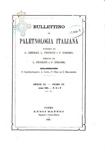 Bullettino di paletnologia italiana