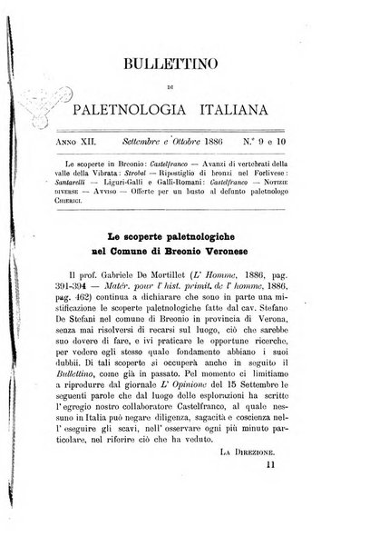 Bullettino di paletnologia italiana