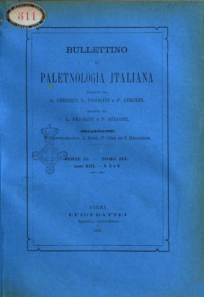 Bullettino di paletnologia italiana