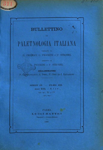 Bullettino di paletnologia italiana