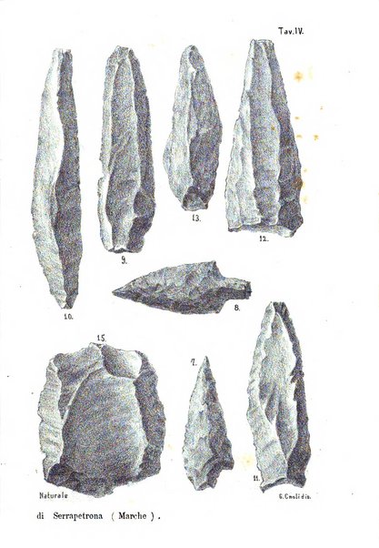 Bullettino di paletnologia italiana