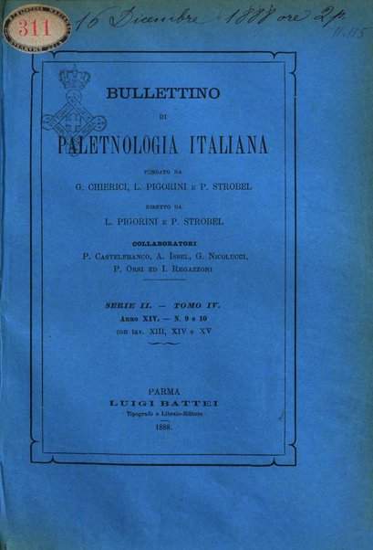 Bullettino di paletnologia italiana