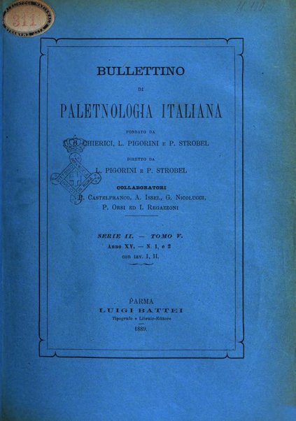 Bullettino di paletnologia italiana