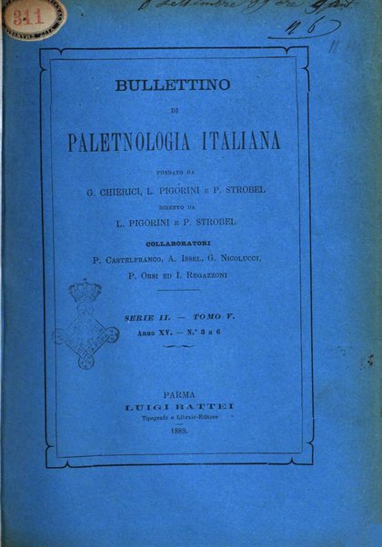 Bullettino di paletnologia italiana