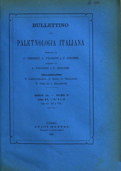 Bullettino di paletnologia italiana