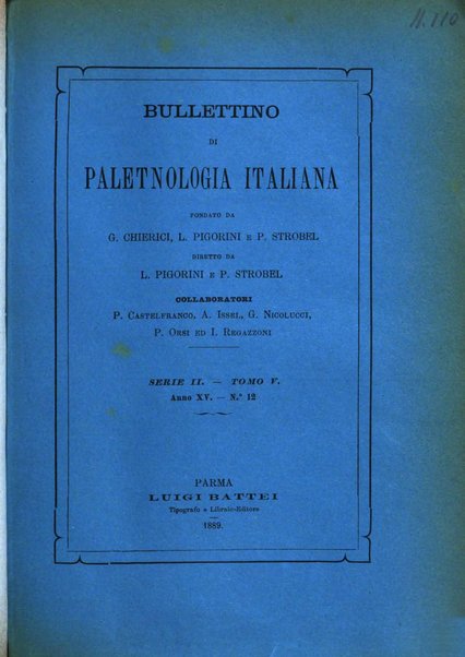 Bullettino di paletnologia italiana