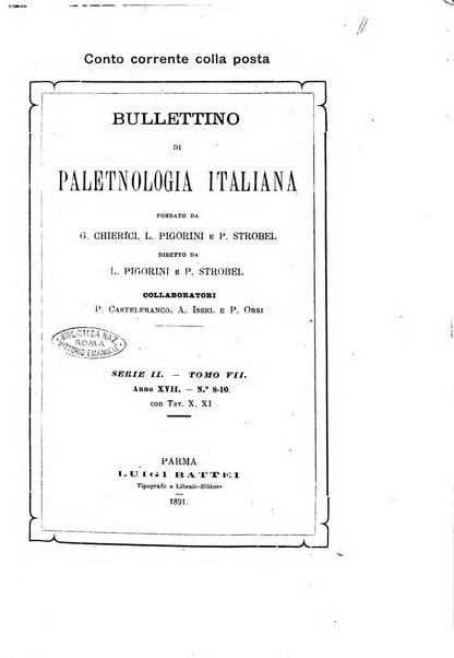 Bullettino di paletnologia italiana