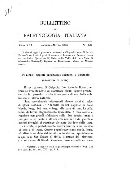 Bullettino di paletnologia italiana