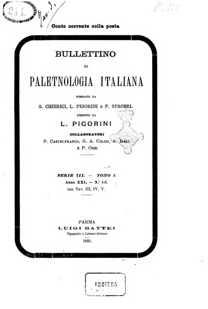 Bullettino di paletnologia italiana