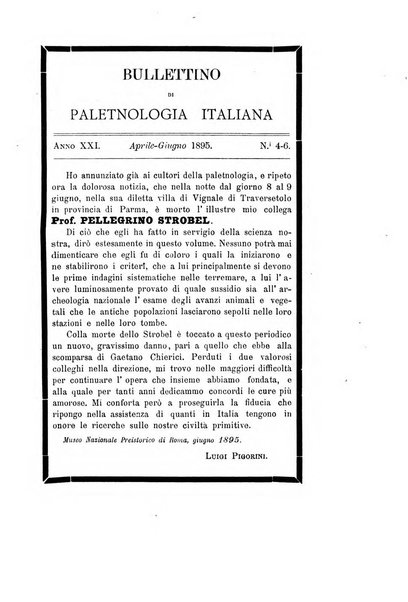 Bullettino di paletnologia italiana