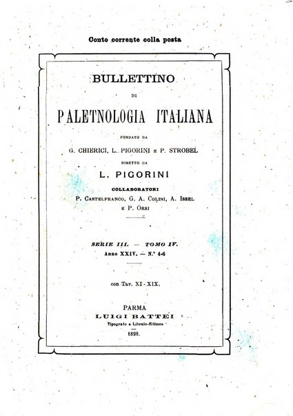 Bullettino di paletnologia italiana