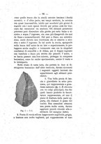 giornale/TO00180507/1898/unico/00000123