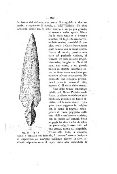 Bullettino di paletnologia italiana