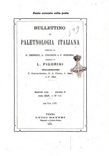 Bullettino di paletnologia italiana