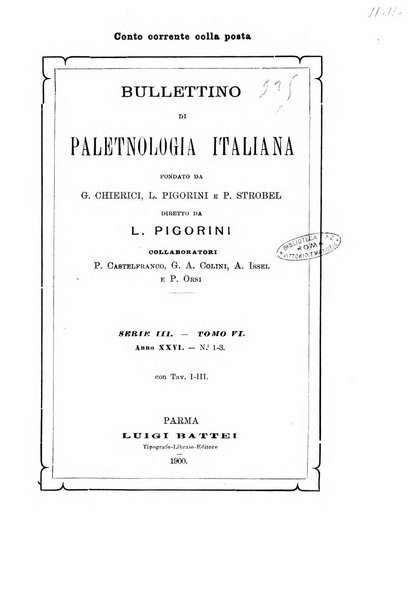 Bullettino di paletnologia italiana