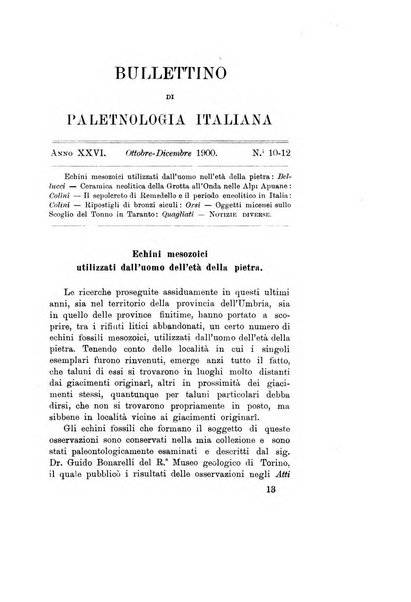 Bullettino di paletnologia italiana