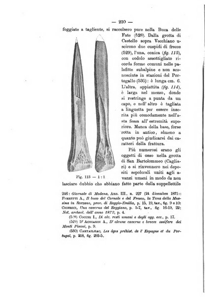 Bullettino di paletnologia italiana