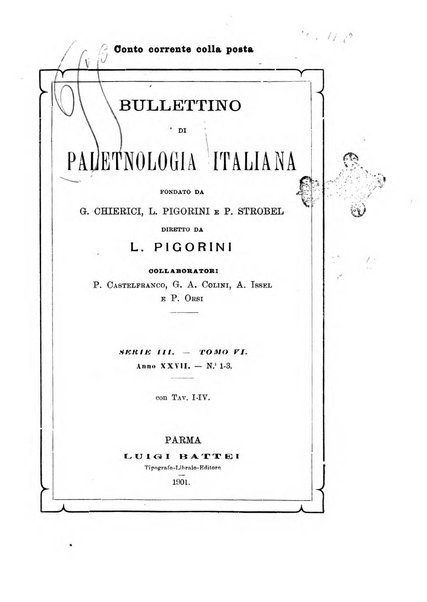 Bullettino di paletnologia italiana