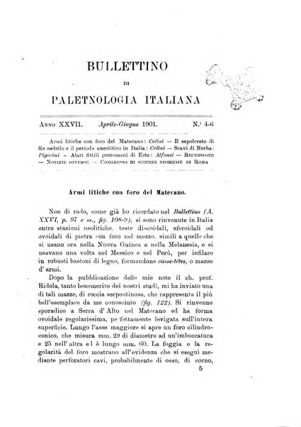 Bullettino di paletnologia italiana