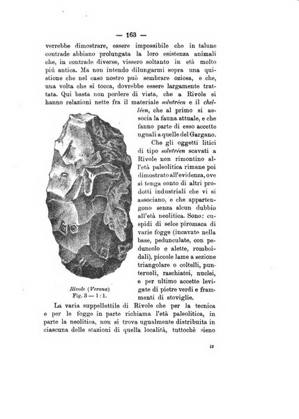 Bullettino di paletnologia italiana