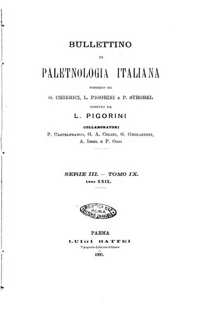 Bullettino di paletnologia italiana