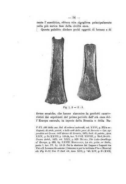 Bullettino di paletnologia italiana