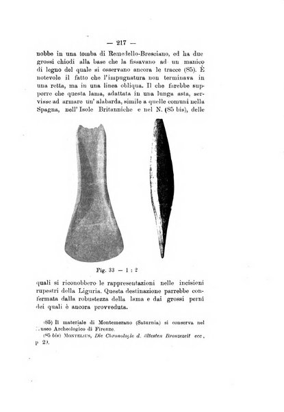 Bullettino di paletnologia italiana