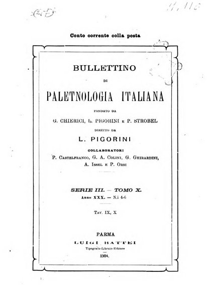 Bullettino di paletnologia italiana