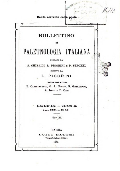 Bullettino di paletnologia italiana