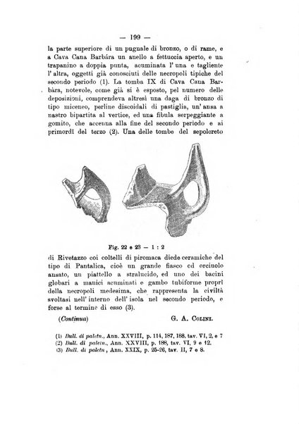 Bullettino di paletnologia italiana