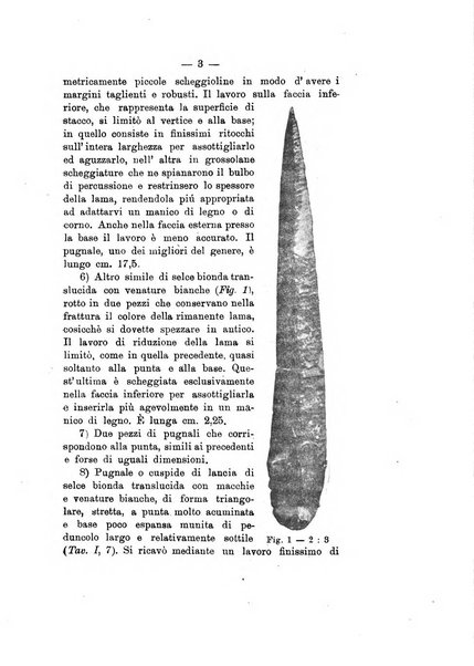 Bullettino di paletnologia italiana