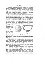 giornale/TO00180507/1905/unico/00000131