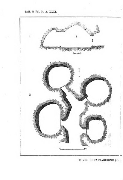 Bullettino di paletnologia italiana