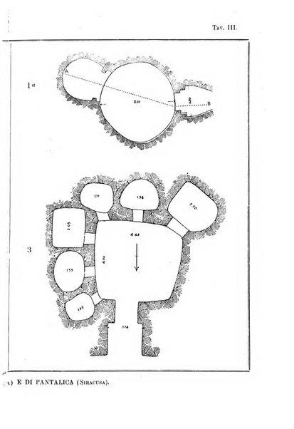 Bullettino di paletnologia italiana