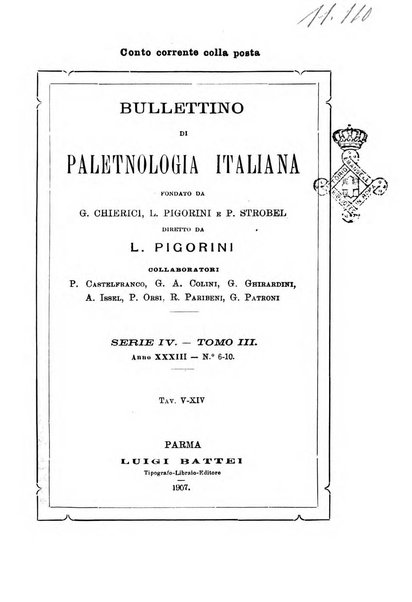 Bullettino di paletnologia italiana