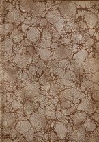 giornale/TO00180507/1908/unico/00000003