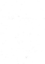 giornale/TO00180507/1908/unico/00000021