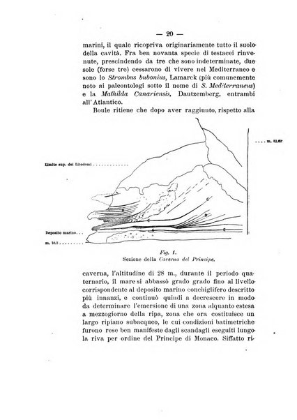 Bullettino di paletnologia italiana